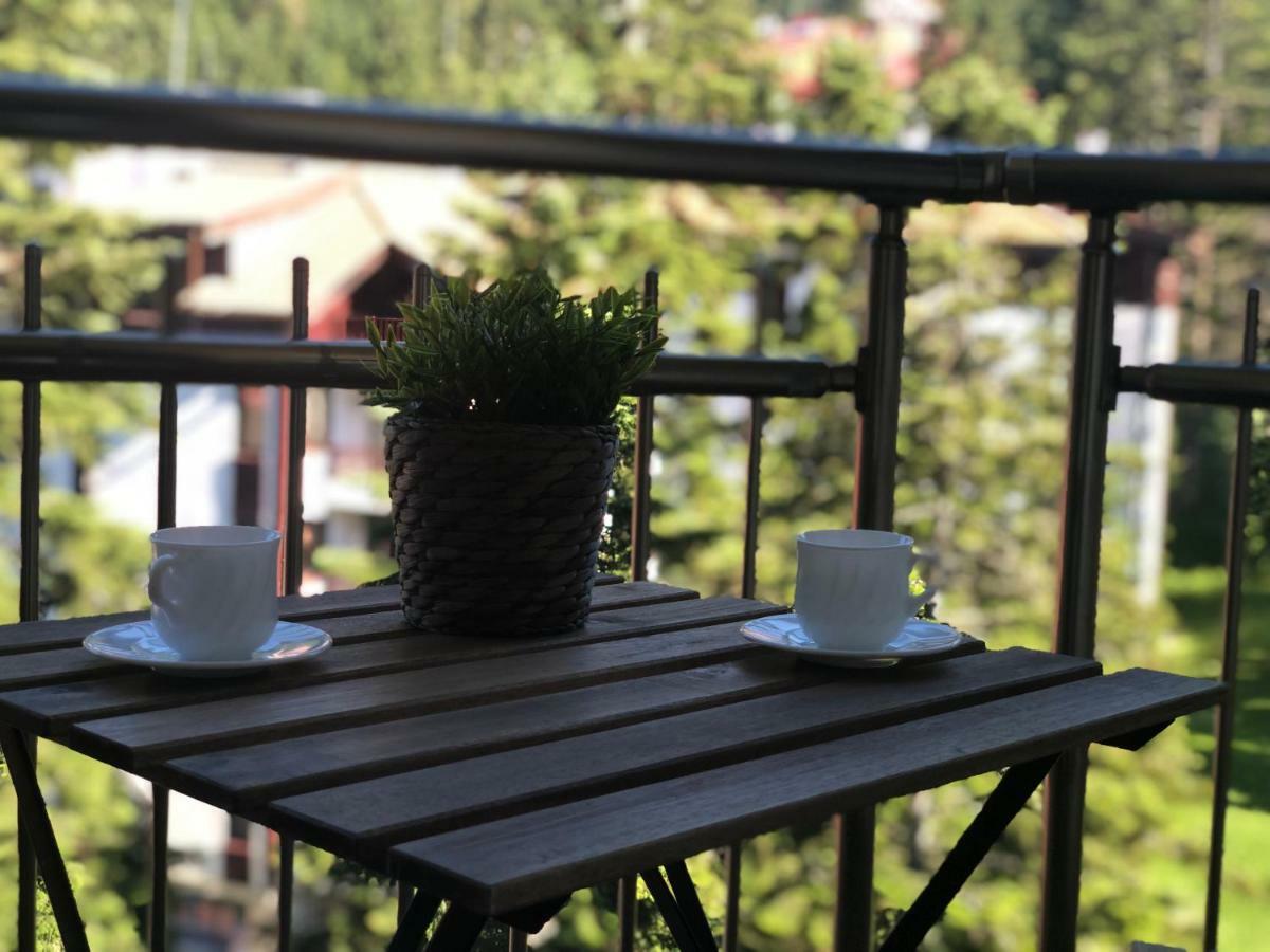 Apartament Deluxe 707 Borowec Zewnętrze zdjęcie